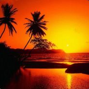 muhahaha - steam id 76561197960473181