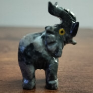 The Elephant of Surprise