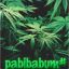 pabibabum#