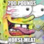 200 Pound Horse Meat