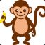 Monkey :p