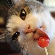 我可以帮你挡枪线