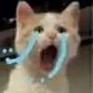 大西洋一级保护咸鱼