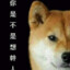 幹人小柴