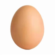 一颗低调的鸡蛋