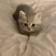 Вася Трахер