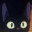 Kiwi avatar
