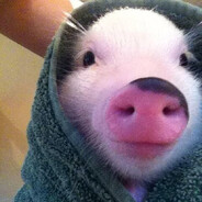 TheMysteryPigMan's avatar