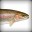 trout