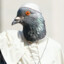 Brother Pigeon