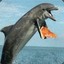 Pizza_Dolphin