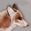 Red_Marble_Fox_66