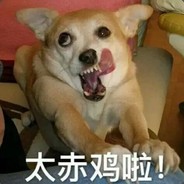 959728368