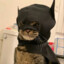 catman