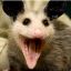 AwesomePossum