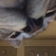 Wareb