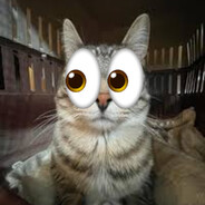 did u see that