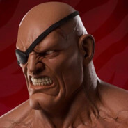 sagat3