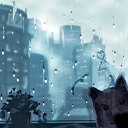 梦里花落失多少