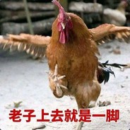 Iron chicken