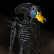 XenoDuck avatar
