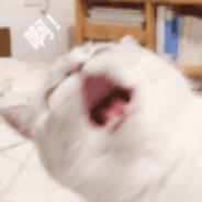 吃动物牛子可以壮阳吃人牛子你说我南通？