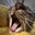 Mustelaa