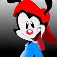 Wakko