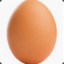 Egg T