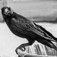 拉着老奶奶闯红灯