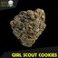 GIRL SCOUT COOKIES