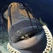 ⭕⃤ ᠌ utopia enjoyer