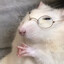 RatSol