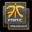 Fnatic_Andie