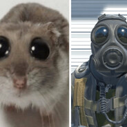 拼好饭里五毒散