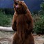 URSO PARDO