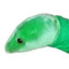 mayorsnail