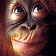 [LTF] Tom_of_Power [FR] - steam id 76561197961785763