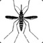 Chikungunya