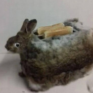 змей героиныч