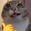 ᴹ𐌉𐌋𐌄𐌔
