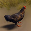 chicken.entity #2
