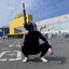 sledovatel