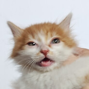 年轻就好倒地就睡