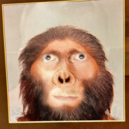 Neandercole