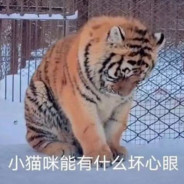 小猫咪能有什么坏心思