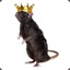 Rat Doto King