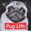 PugLife k Xaxa