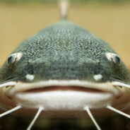 Slug Pan
