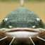 Slug Pan